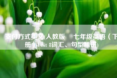 支付方式英文(人教版 ▏七年级英语（下册）Unit 8词汇、句型精讲)