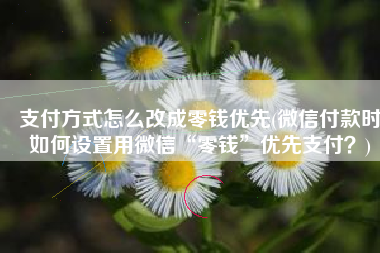 支付方式怎么改成零钱优先(微信付款时如何设置用微信“零钱”优先支付？)