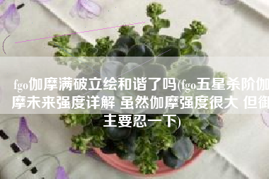 fgo伽摩满破立绘和谐了吗(fgo五星杀阶伽摩未来强度详解 虽然伽摩强度很大 但御主要忍一下)
