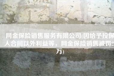 网金保险销售服务有限公司(因给予投保人合同以外利益等，网金保险销售被罚23万)