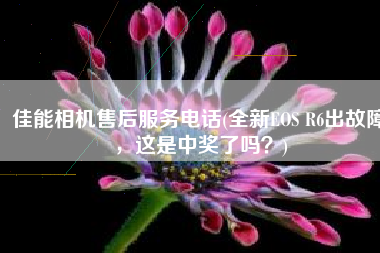 佳能相机售后服务电话(全新EOS R6出故障，这是中奖了吗？)