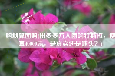 购划算团购(拼多多万人团购特斯拉，便宜40000元，是真卖还是噱头？)