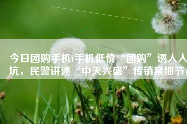 今日团购手机(手机低价“团购”诱人入坑，民警讲述“中天兴盛”传销案细节)