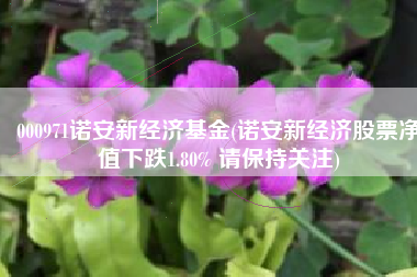 000971诺安新经济基金(诺安新经济股票净值下跌1.80% 请保持关注)