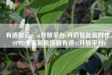 有道智云·ai开放平台(开启智能新时代，OPPO全系新机搭载有道AI开放平台)