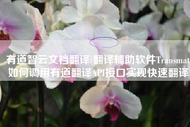 有道智云文档翻译(翻译辅助软件Transmate如何调用有道翻译API接口实现快速翻译)