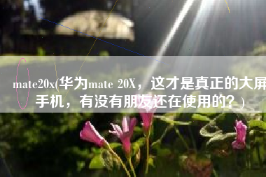 mate20x(华为mate 20X，这才是真正的大屏手机，有没有朋友还在使用的？)