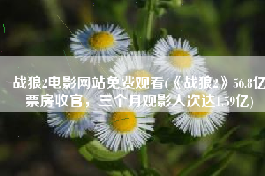 战狼2电影网站免费观看(《战狼2》56.8亿票房收官，三个月观影人次达1.59亿)
