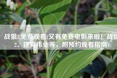 战狼2,免费观看(又有免费电影来啦！战狼2、建党伟业等，附预约观看指南)
