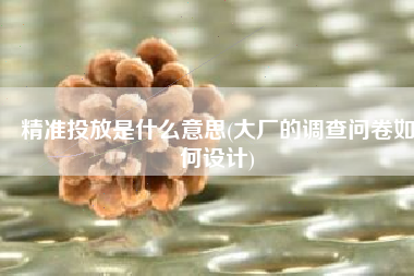 精准投放是什么意思(大厂的调查问卷如何设计)