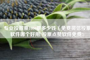 专业投微票1000票多少钱（免费微信投票软件哪个好用?投票点赞软件免费!)