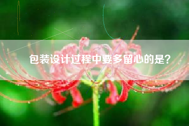 包装设计过程中要多留心的是？