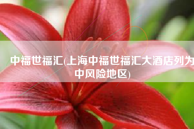 中福世福汇(上海中福世福汇大酒店列为中风险地区)