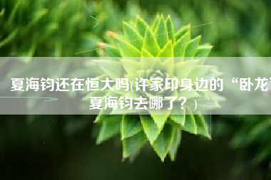 夏海钧还在恒大吗(许家印身边的“卧龙”夏海钧去哪了？)