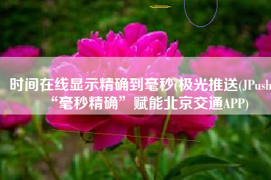 时间在线显示精确到毫秒(极光推送(JPush)“毫秒精确”赋能北京交通APP)