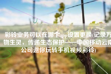 彩铃业务可以在哪个app设置更换(记录万物生灵，传递生态保护——中国移动云南公司邀你玩转手机视频彩铃)
