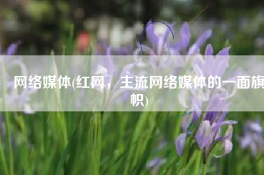 网络媒体(红网，主流网络媒体的一面旗帜)