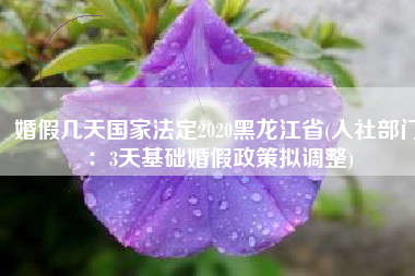 婚假几天国家法定2020黑龙江省(人社部门：3天基础婚假政策拟调整)