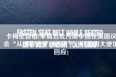 卡梅伦首相(军情五处污蔑中国在英国议会“从事政治干涉活动”，驻英国大使馆回应)