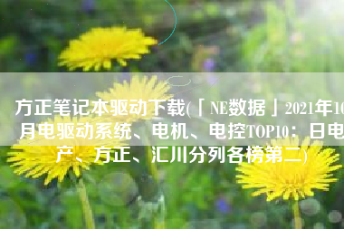 方正笔记本驱动下载(「NE数据」2021年10月电驱动系统、电机、电控TOP10：日电产、方正、汇川分列各榜第二)