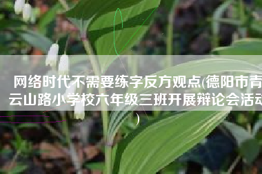 网络时代不需要练字反方观点(德阳市青云山路小学校六年级三班开展辩论会活动)