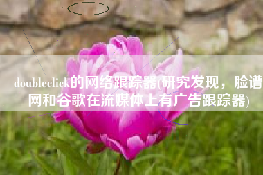 doubleclick的网络跟踪器(研究发现，脸谱网和谷歌在流媒体上有广告跟踪器)
