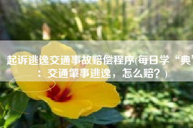 起诉逃逸交通事故赔偿程序(每日学“典”：交通肇事逃逸，怎么赔？)