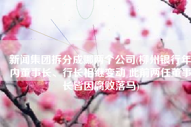 新闻集团拆分成哪两个公司(柳州银行年内董事长、行长相继变动 此前两任董事长皆因腐败落马)