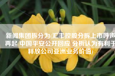 新闻集团拆分为(汇丰控股分拆上市呼声再起 中国平安公开回应 分析认为有利于释放公司亚洲业务价值)