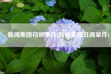 新闻集团窃听事件(新闻集团丑闻案件)