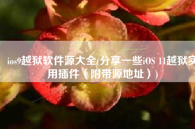 ios9越狱软件源大全(分享一些iOS 11越狱实用插件（附带源地址）)