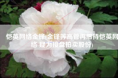恺英网络金锋(金锋等高管再增持恺英网络 疑为接盘拍卖股份)