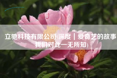 立驰科技有限公司(深度｜爱奇艺的故事，我们对此一无所知)