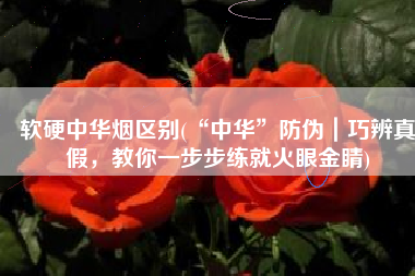 软硬中华烟区别(“中华”防伪｜巧辨真假，教你一步步练就火眼金睛)