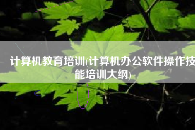 计算机教育培训(计算机办公软件操作技能培训大纲)