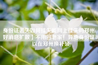 身份证丢失如何挂失能网上挂失吗郑州(【好消息扩散】不用回老家！异地身份证可以在郑州换补领)