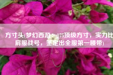 方寸头(梦幻西游：175顶级方寸，实力比肩服战号，鉴定出全服第一腰带)