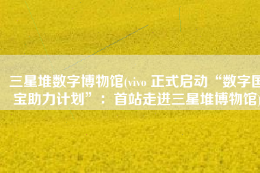三星堆数字博物馆(vivo 正式启动“数字国宝助力计划”：首站走进三星堆博物馆)