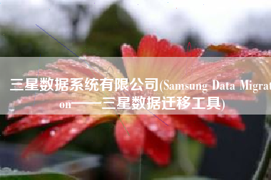 三星数据系统有限公司(Samsung Data Migration——三星数据迁移工具)