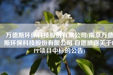 万德斯环保科技股份有限公司(南京万德斯环保科技股份有限公司 自愿披露关于PPP项目中标的公告)