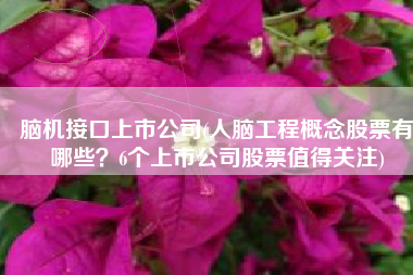 脑机接口上市公司(人脑工程概念股票有哪些？6个上市公司股票值得关注)