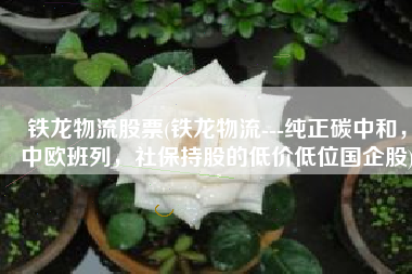 铁龙物流股票(铁龙物流---纯正碳中和，中欧班列，社保持股的低价低位国企股)
