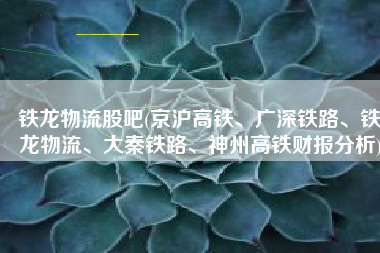 铁龙物流股吧(京沪高铁、广深铁路、铁龙物流、大秦铁路、神州高铁财报分析)