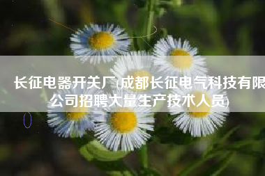 长征电器开关厂(成都长征电气科技有限公司招聘大量生产技术人员)