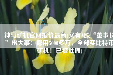 神马矿机官网报价最新(又有A股“董事长”出大事：挪用5000多万，全部买比特币矿机！已被批捕)