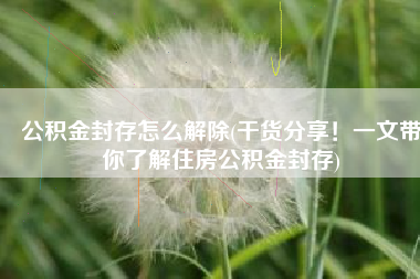 公积金封存怎么解除(干货分享！一文带你了解住房公积金封存)