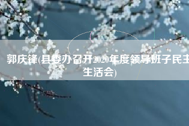 郭庆锋(县委办召开2020年度领导班子民主生活会)