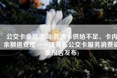公交卡余额查询(普通卡供给不足、卡内余额退费难……江苏省公交卡服务消费调查报告发布)