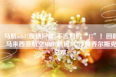 马航mh17现场尸体(不吉利的“17”！回顾马来西亚航空MH17航班7.17沙赫乔尔斯克空难)