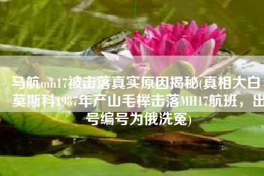 马航mh17被击落真实原因揭秘(真相大白：莫斯科1987年产山毛榉击落MH17航班，出号编号为俄洗冤)